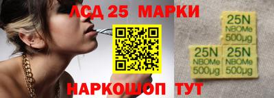 индика Тулун