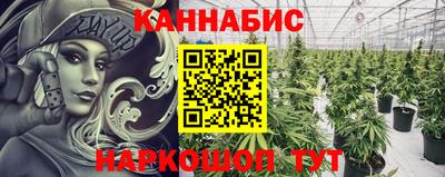 индика Тулун
