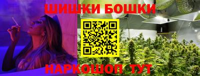 индика Тулун