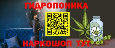 индика Тулун