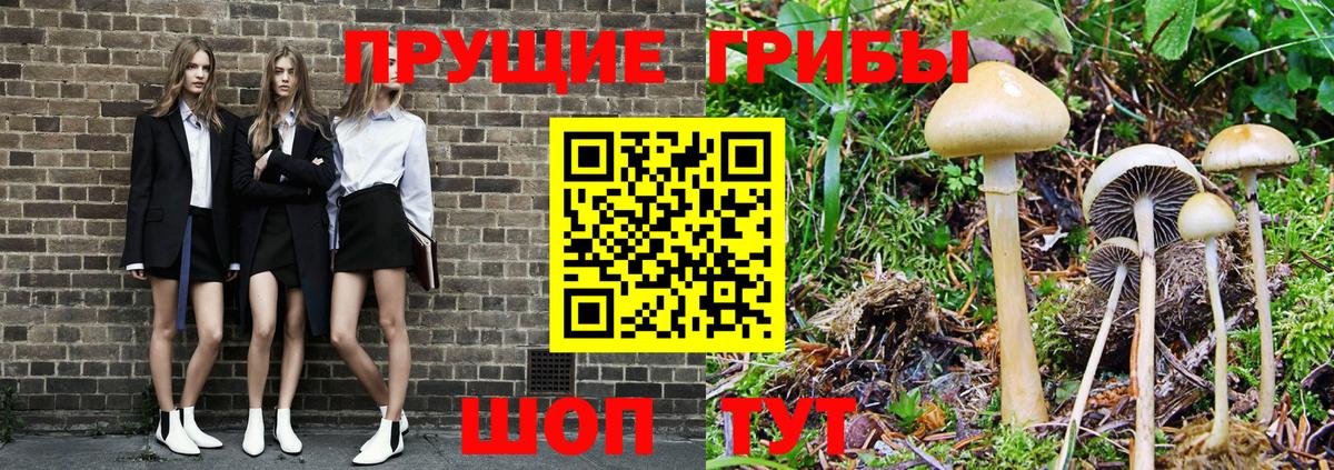 Можайск  Псилоцибиновые грибы MAGIC MUSHROOMS  Вход с VPN 