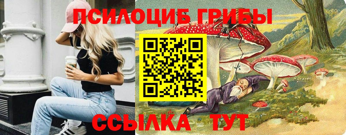 Псилоцибиновые грибы Psilocybine cubensis Можайск